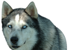 12.png