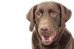 17.png