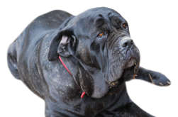 32.png
