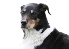 38.png