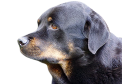 6.png