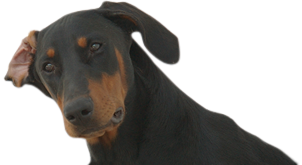 7.png