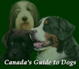 Canada's Guide to Dogs